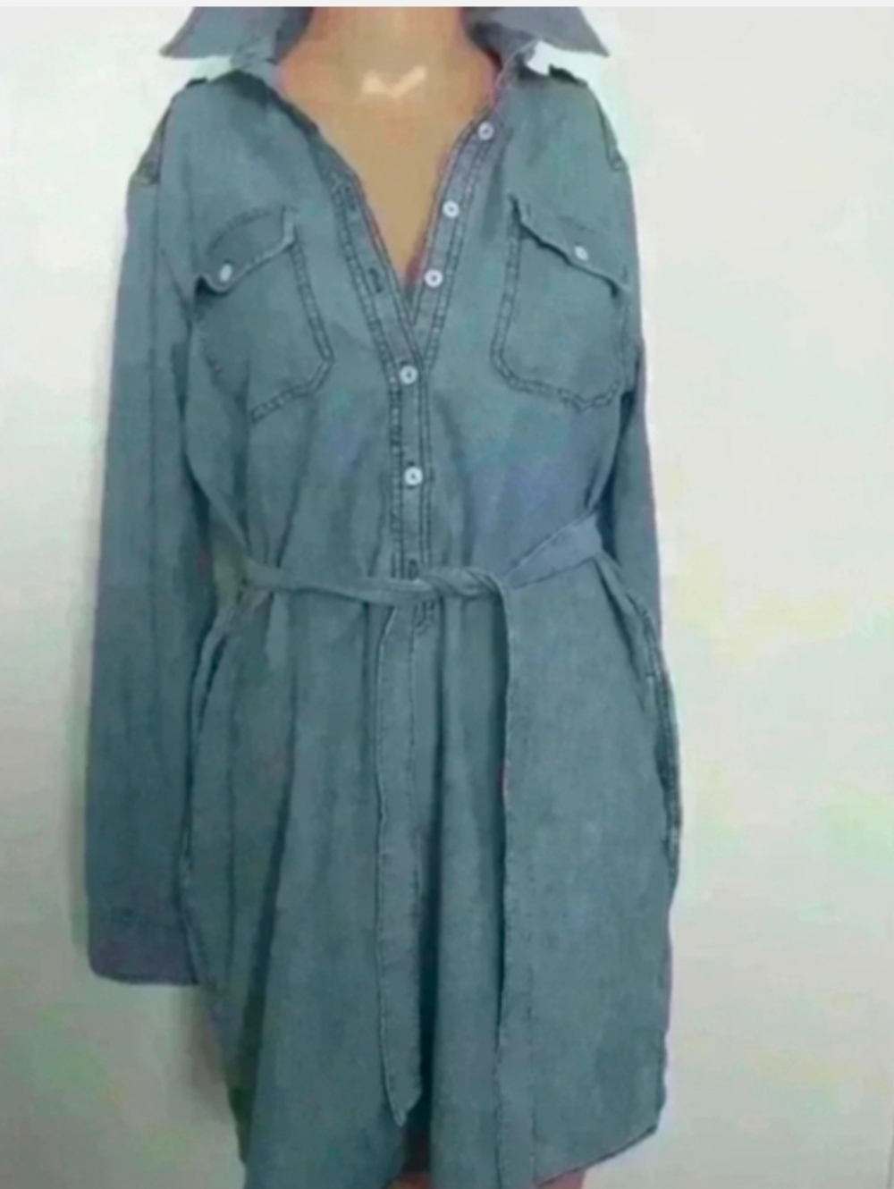 The Gap Women's Denim Long Sleeve Mini Dress